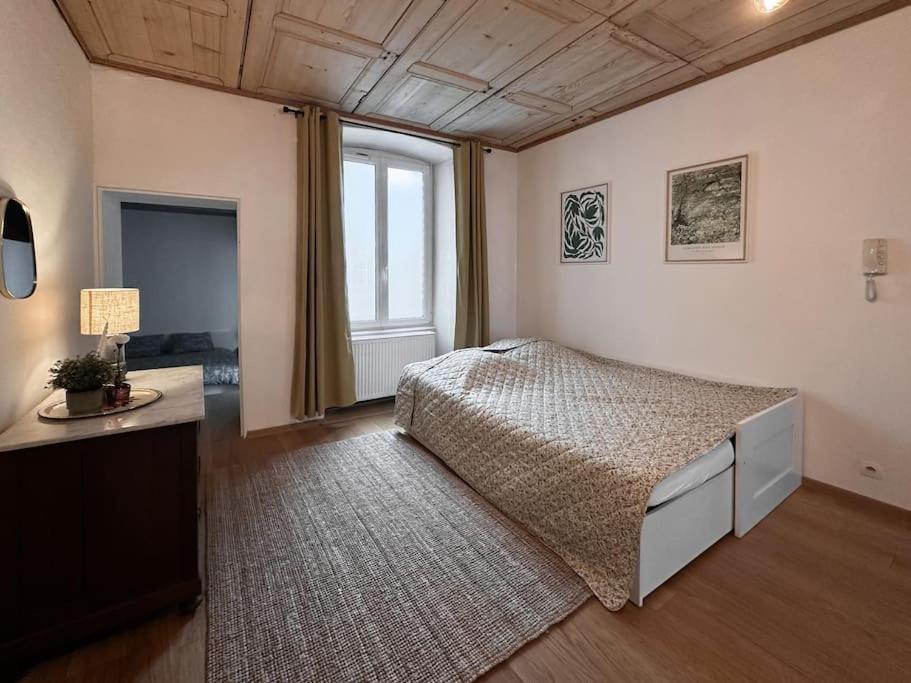 Hypercentre 80M2, A Deux Pas Du Chateau Des Rohan Saverne Exterior photo